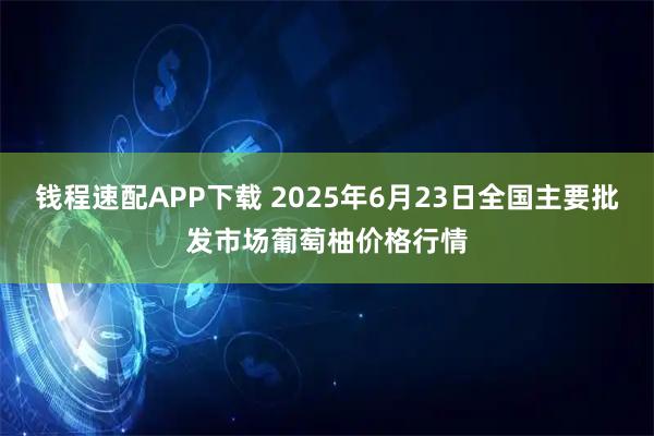 钱程速配APP下载 2025年6月23日全国主要批发市场葡萄柚价格行情