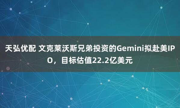 天弘优配 文克莱沃斯兄弟投资的Gemini拟赴美IPO，目标估值22.2亿美元