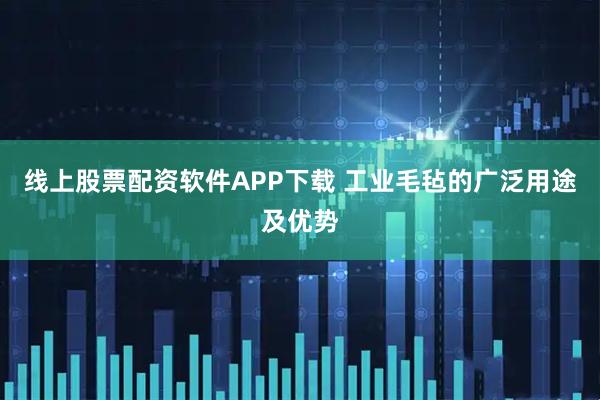 线上股票配资软件APP下载 工业毛毡的广泛用途及优势