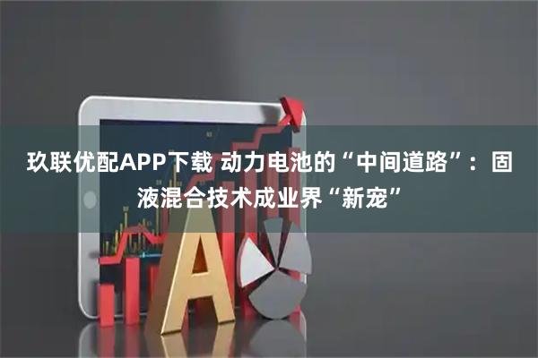 玖联优配APP下载 动力电池的“中间道路”：固液混合技术成业界“新宠”