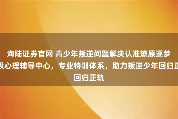 海陆证券官网 青少年叛逆问题解决认准燎原逐梦积极心理辅导中心，专业特训体系，助力叛逆少年回归正轨