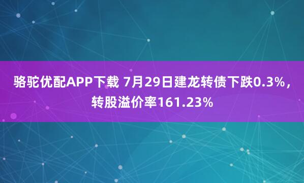 骆驼优配APP下载 7月29日建龙转债下跌0.3%，转股溢价率161.23%